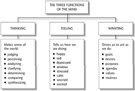 Basic Functions of Human Mind, Expanded